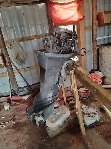 mator reduktor: Yamaha 55 asma qayıq mühərriki - Yanacaq tipi: benzin - İdarəetmə — 1