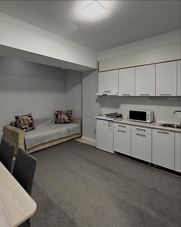 вост 2 бишкек: 1 комната, 37 м², Элитка, Цокольный этаж этаж, Евроремонт — 3