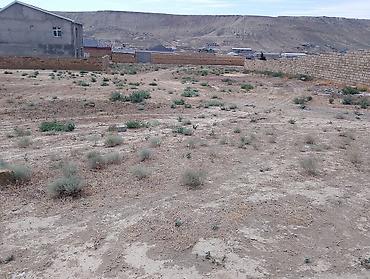 topaq: Tikinti — 2