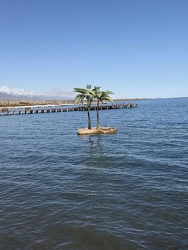 Дома: Сдаётся уютный коттедж в ЦО Palm Beach 🌴🏡 Идеальный вариант для — 8