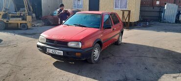 2 моно: Volkswagen Golf: 1993 г., 1.6 л, Механика, Бензин, Хетчбек