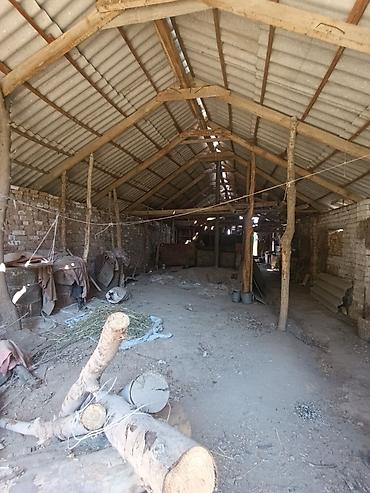 Продажа коттеджей и домов: Дом, 5 комнат, 68 кв.м В селе Петровка продается дом из 5-ти комнат at lalafo.kg — 7 Продажа коттеджей и домов: Дом, 5 комнат, 68 кв.м В селе Петровка продается дом из 5-ти комнат — 7