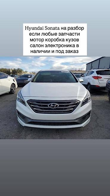 sonata 2012: Hyundai Sonata на разбор. Доступны любые запчасти: мотор, коробка — 1
