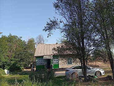 черная речка: Продаётся дом с приусадебным участком 52 сотых в зелёном тихом месте — 7