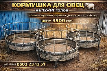 Товары и оборудование для с/х животных: Кормушка для овец (круглая) - Вместимость: рассчитана на 12–14 голов — 1