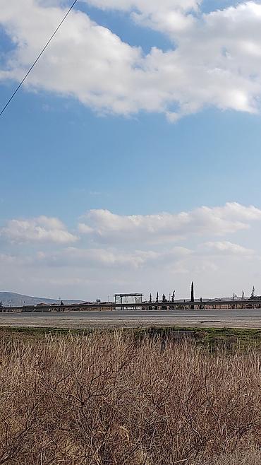 Torpaq sahələrinin satışı: Biznes üçün — 1