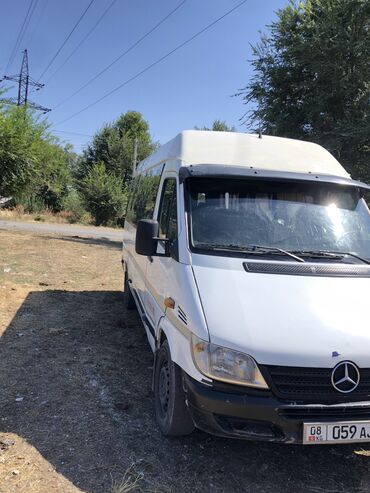 спринтер посажирский: Mercedes-Benz Sprinter: 2003 г., 2.9 л, Механика, Дизель, Бус