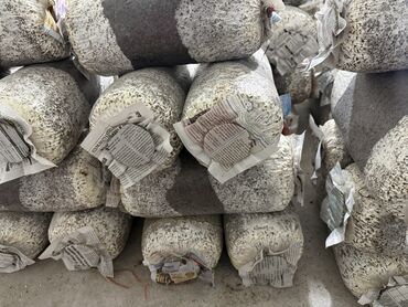 подушки на шею: Козу карындар Вешенки, Дүңүнөн
