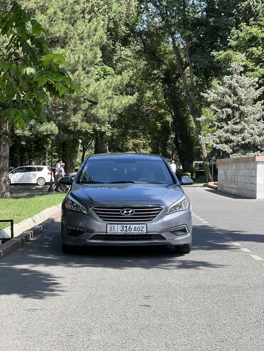 продам хюндай соната: Hyundai Sonata: 2016 г., 2.4 л, Автомат, Бензин, Седан