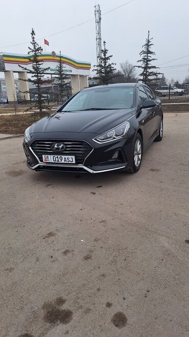 hendai sonata: Hyundai Sonata: 2018 г., 2 л, Автомат, Газ, Седан