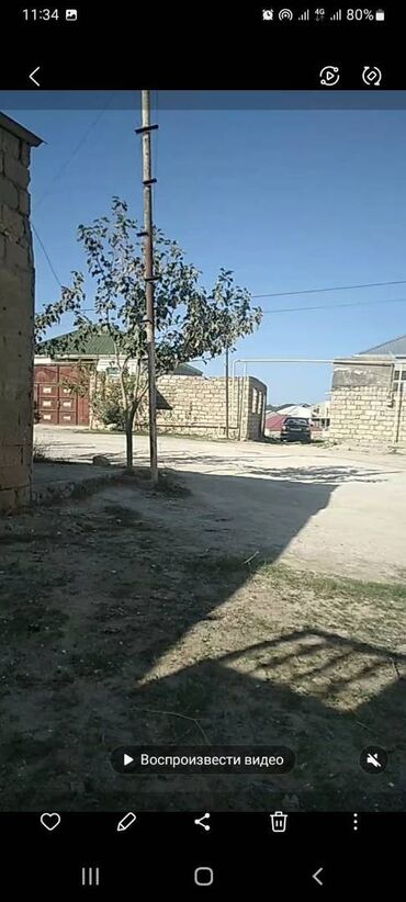 Sex, zavod və fabriklər: Bine gesebesimde. Sovxoxzda. Gurcustallilarin mehlesinde (deyilen — 2