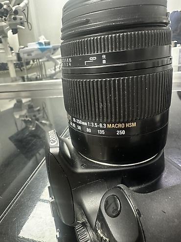 tamron 1770: Canon 1000d и два объектива Объектив Sigma 18–250mm f/3.5–6.3 DC — 2