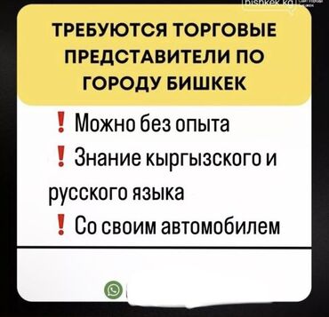 торговый агент с транспортом: Требуется Торговый агент, График: Гибкий график, Без опыта, % от продаж, Удаленная работа