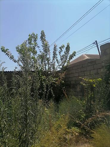 gift of legacy azerbaycan: Torpaq binə qəsəbəsi zavod yolunda yerləşir. Torpaq sahəsi 2.5 sot — 5