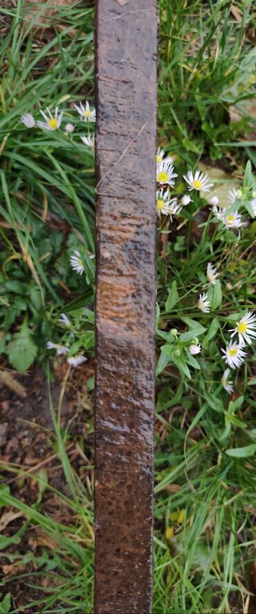 Ostali alati i mašine: Двостубна ауто дизалица, носивости 2.5т. 2015 је годиште. Рађена је у — 1