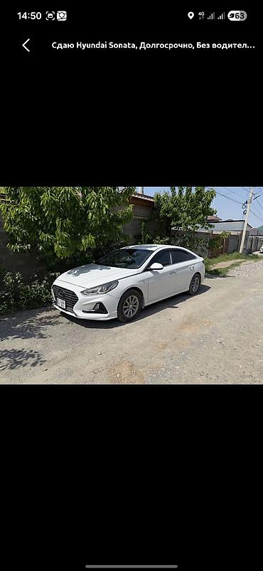 sonata for rent: Hyundai Sonata: 2018 г., 2 л, Автомат, Бензин, Седан — 1