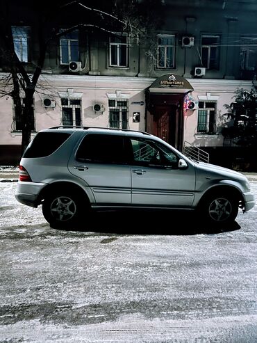 купить тандем: Mercedes-Benz M-Class: 1999 г., 3.2 л, Автомат, Бензин, Внедорожник