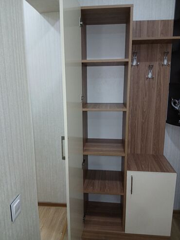 qapi kalonka: Açılan, 1 qapı Düz dolab, Dəhliz dolabı