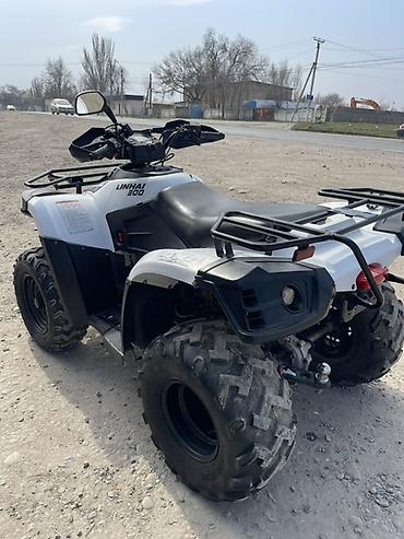 Квадроциклы: Квадроцикл Linhai 300 (4x4) - Мощный утилитарный ATV с полным — 6