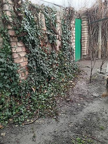 Продажа коттеджей и домов: Продаётся дом за капитальным кирпичным забором с зелёными воротами и — 6