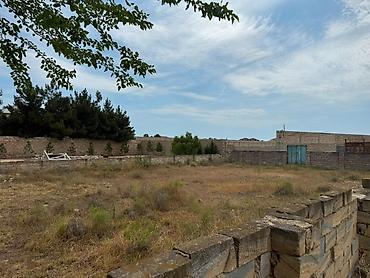 şuvəlan: 6 sot, Kupça (Çıxarış) — 2