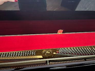 Pianolar: Piano, Akustik, İşlənmiş — 12