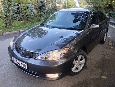 шит прибор камри: Toyota Camry: 2006 г., Седан