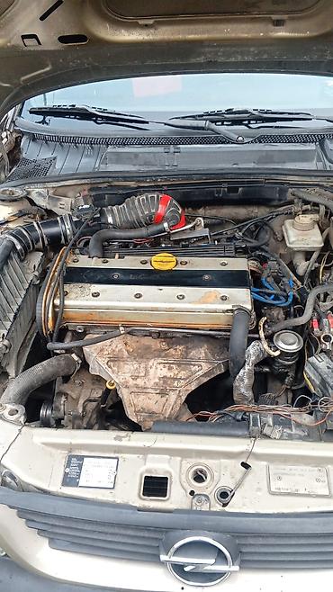 Opel: Opel Vectra sedan - Kuzov: 4 qapılı sedan, bej rəng - Mühərrik — 8