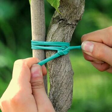 Bağ və bostan üçün digər məhsullar: ✅ Aqrotel, ✅ Kembrik ✅ Rezin İp İstifadə: Ağac Tingləri, Meyvə — 3