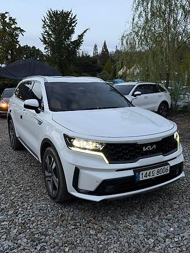 2021: Kia Sorento: 2021 г., Кроссовер — 3