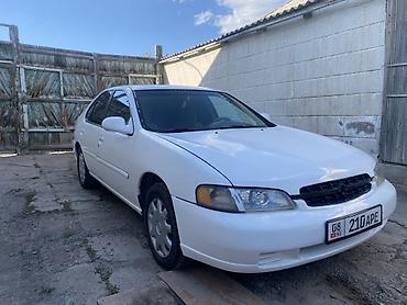 argb controller: Nissan Altima: 1999 г., 2.4 л, Автомат, Бензин, Седан — 1