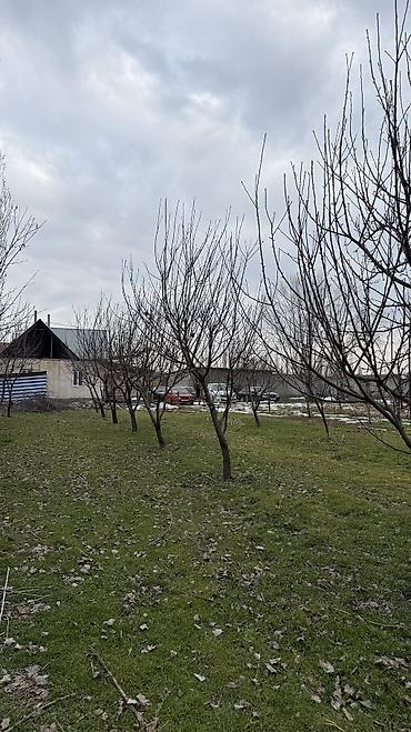 Продажа участков: 8 соток, Для бизнеса, Красная книга, Договор купли-продажи — 2