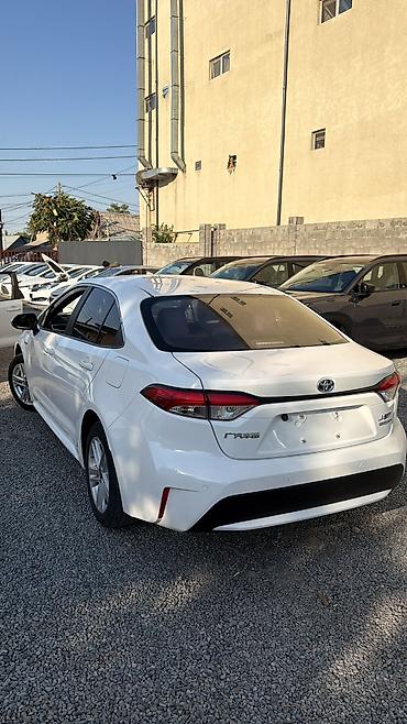 еврейский авто: Toyota Levin: 2022 г., 1.8 л, Вариатор, Гибрид — 2
