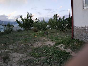 село чуй кыргызстан: 6 комнат и более, 200 м², 8 соток, Чолпон-Ата, Собственник — 3