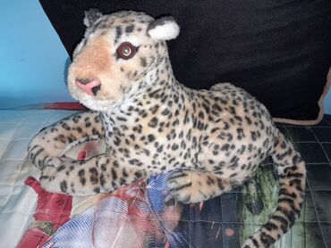 teddi ayı: Məhsul: Yumşaq oyuncaq heyvanlar tezedir cevirin baxin - Leopard