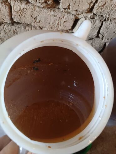 шаурмага балдар керек: Токтогулский горный мёд 33 кг в каждой бочке 1 качка 2 качка За