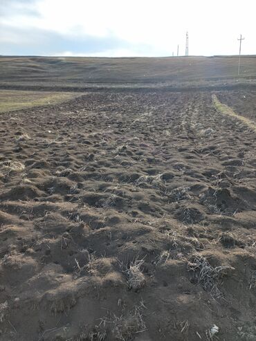 dondurma xaladelnik satilir: 10 sot, Tikinti, Mülkiyyətçi, Kupça (Çıxarış)