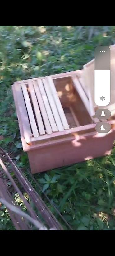 Arı yeşikləri: Arı pətəyi (taxta korpuslu) - Material: qalın taxta lövhələrdən — 8