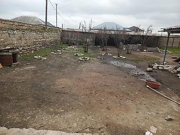 Qonaq otağı dəstləri: Masa və oturacaqlar — 17