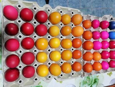 Ostali prehrambeni proizvodi: 💥makedonske boje za jaja “paleta 7” 💥provereno dobre 💥kesica je — 14