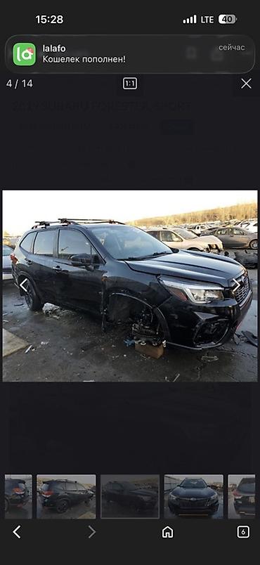 Subaru: Subaru Forester: 2018 г., 2.5 л, Вариатор, Бензин, Кроссовер — 15