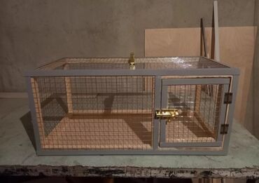 Qəfəslər: Dovşan,şinşila,bildirçin,cücə,xamyak,pişik,quş ve s kimi ev heyvanlari — 9