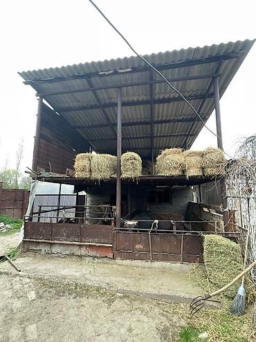 Продажа коттеджей и домов: Продаётся просторный 5-комнатный дом.село Панфиловка ул Тилебалиева 54 — 8