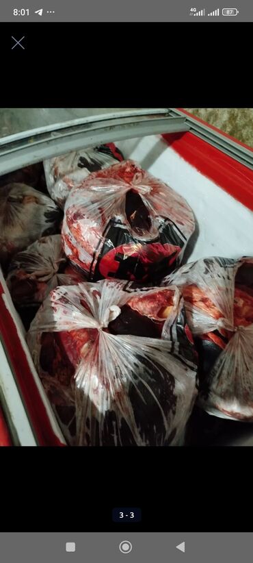 доставка животных: Мясо с бойни отходы селезёнка горло матки цена кг от 50 кг