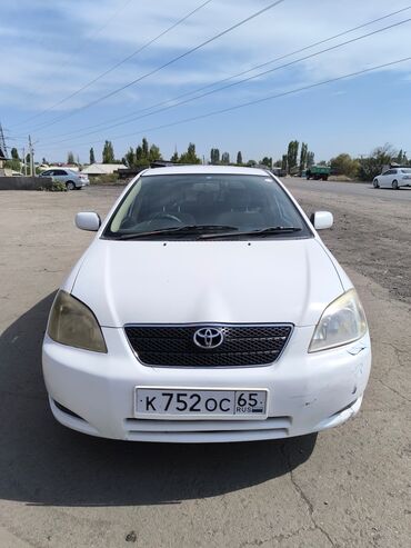 тайота хетчбек: Toyota Allex: 2003 г., 1.5 л, Автомат, Бензин, Хетчбек