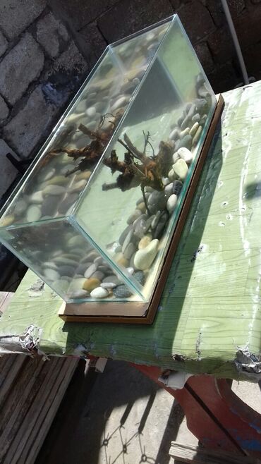 akvarium balaca: 20 azn .balaca akvaum sade 
 20 litir su tutumu