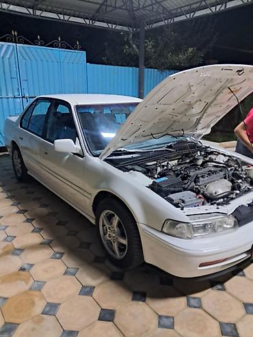 акорд 1992: Honda Accord: 1992 г., Бензин, Седан — 1