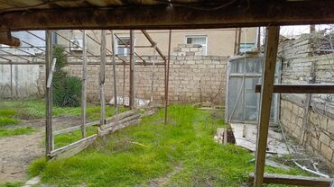 Həyət evləri və villaların satışı: Binə 3 otaqlı, 80 kv. m, Orta təmir -da lalafo.az — 10 Həyət evləri və villaların satışı: Binə 3 otaqlı, 80 kv. m, Orta təmir — 10