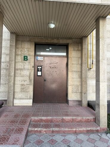 10 микрарайон: Дверь для подъезда, Металл, С домофоном, Без установки