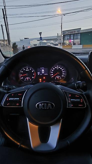 Kia: Kia K3: 2019 г., 1.6 л, Автомат, Бензин, Седан — 34